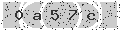 verify code