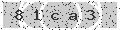 verify code