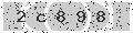 verify code