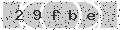 verify code
