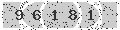 verify code