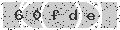 verify code