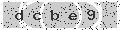 verify code