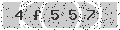 verify code