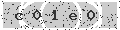 verify code
