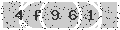 verify code