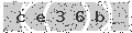 verify code