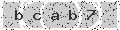 verify code