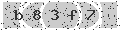 verify code