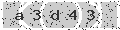 verify code