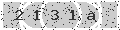 verify code