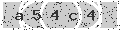 verify code